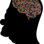 Brain