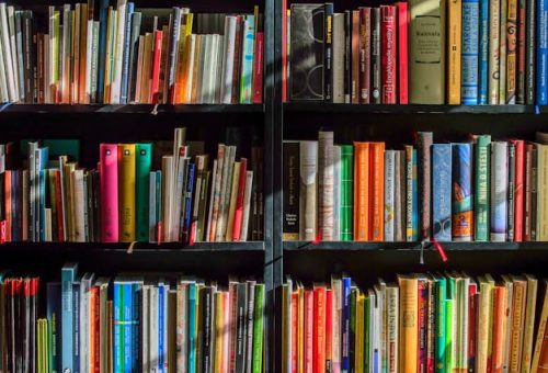 Books on Narcissism