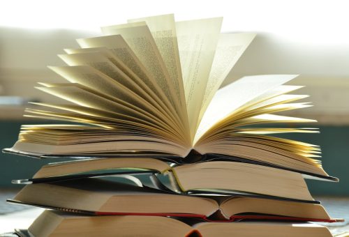 Books On Narcissism help us understand the real mentality of people around us and how we can recognize narcissists