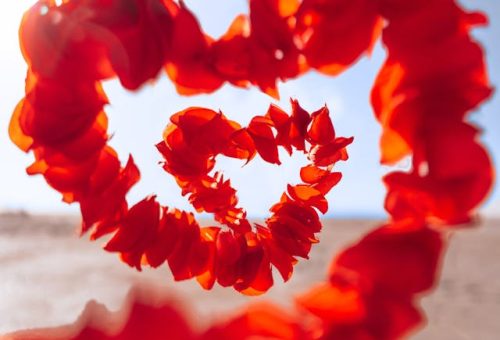 10 Most Effective Transformative Exercises of self love that can make our life heaven in this world forever