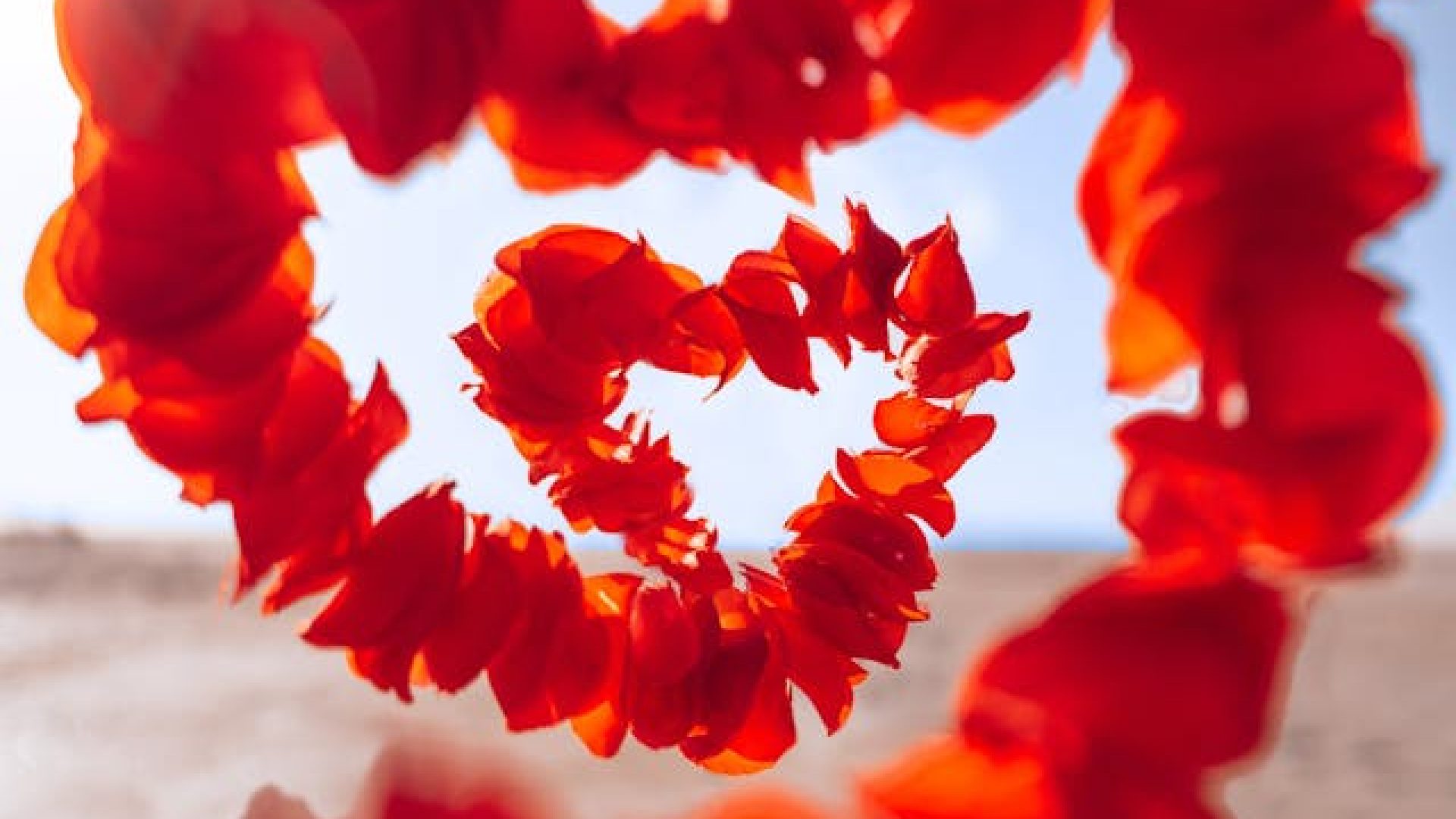 10 Most Effective Transformative Exercises of self love that can make our life heaven in this world forever